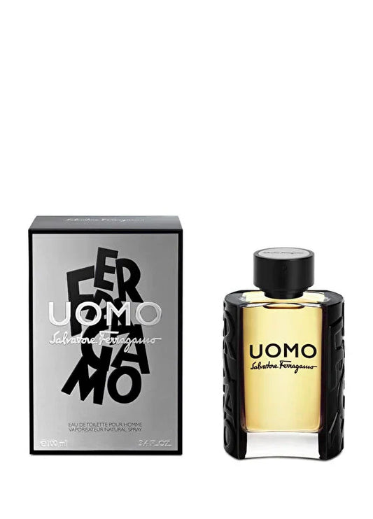 ferragamo-uo-edt-erkek-parfum-100-ml-01 IMAGE