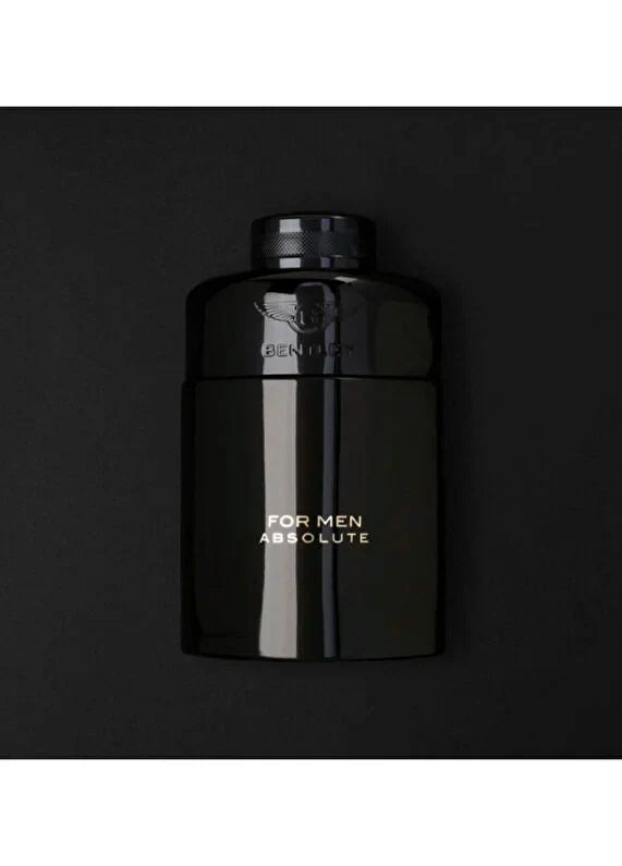 bentley-for-men-silver-lake-edp-100-ml-erkek-parfum-04 IMAGE
