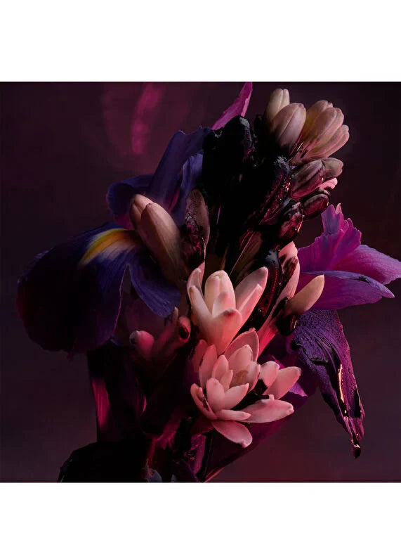 bvlgari-allegra-riva-solare-edp-100ml-05 IMAGE