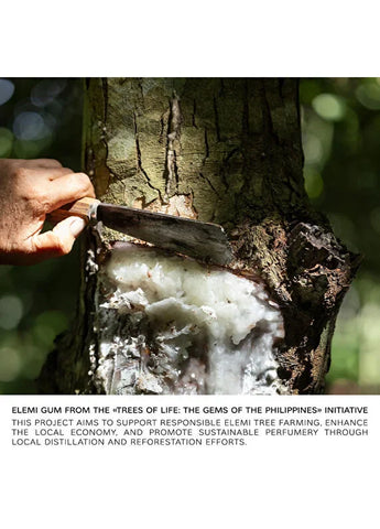 bvlgari-allegra-riva-solare-edp-100ml-06 IMAGE