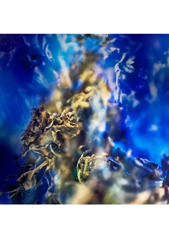 bvlgari-le-gemme-gyan-edp-60-ml-unisex-parfum-02 IMAGE