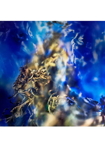 bvlgari-le-gemme-gyan-edp-60-ml-unisex-parfum-02 IMAGE