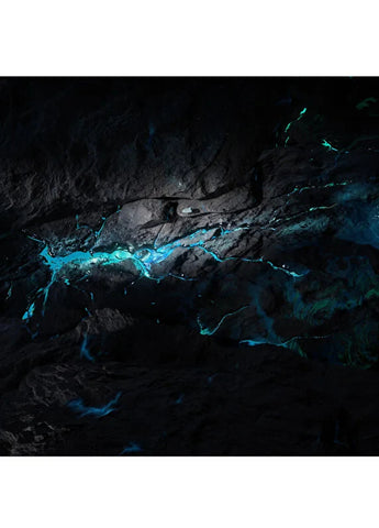 bvlgari-le-gemme-orom-edp-60-ml-unisex-parfum-05 IMAGE