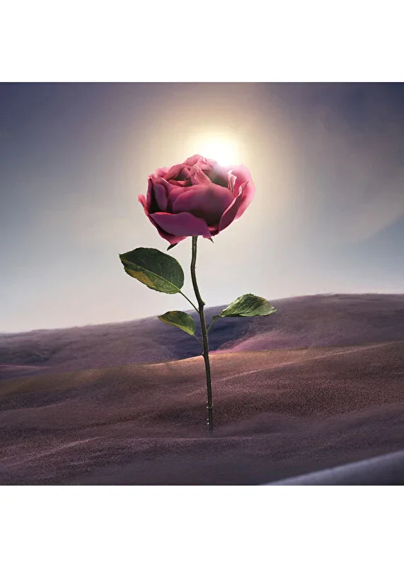 bvlgari-le-gemme-sahare-edp-60-ml-unisex-parfum-04 IMAGE