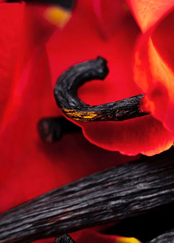 bvlgari-le-gemme-tygar-edp-125-ml-unisex-parfum-04 IMAGE