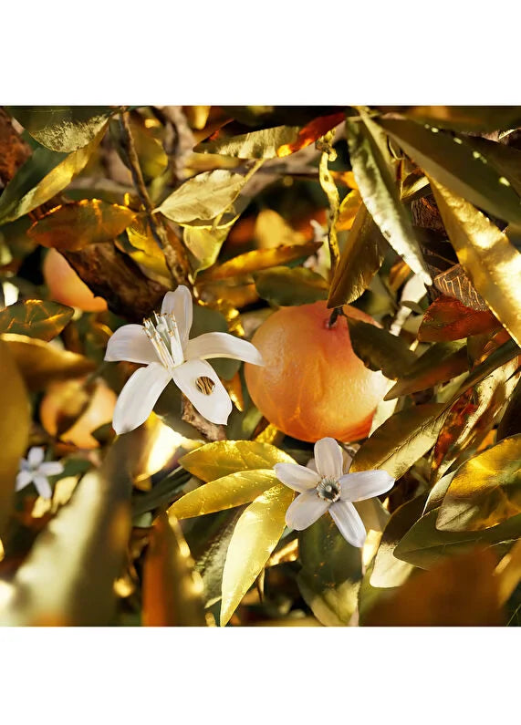 bvlgari-le-gemme-tygar-edp-60-ml-unisex-parfum-04 IMAGE