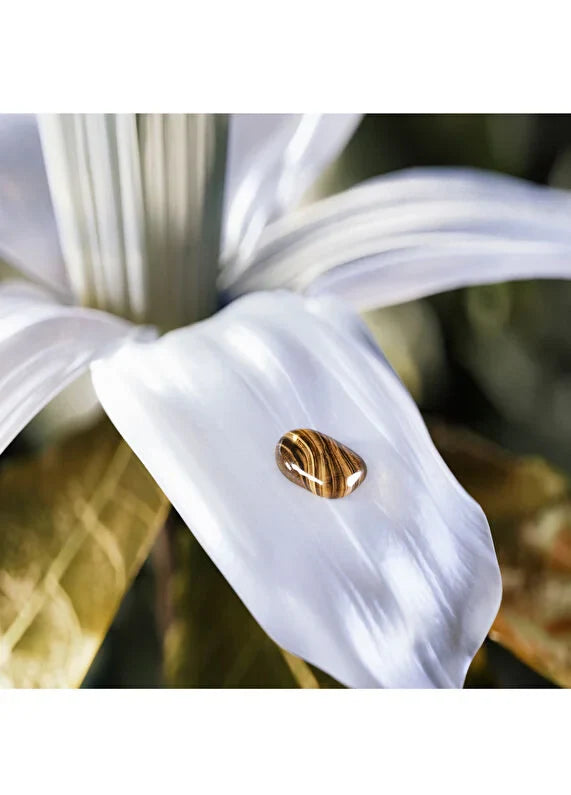 bvlgari-le-gemme-tygar-edp-60-ml-unisex-parfum-05 IMAGE