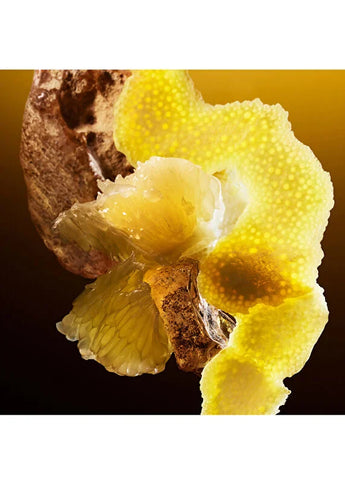 bvlgari-le-gemme-tygar-edp-60-ml-unisex-parfum-07 IMAGE