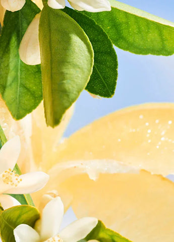 bvlgari-man-in-black-parfum-refill-200ml-02 IMAGE