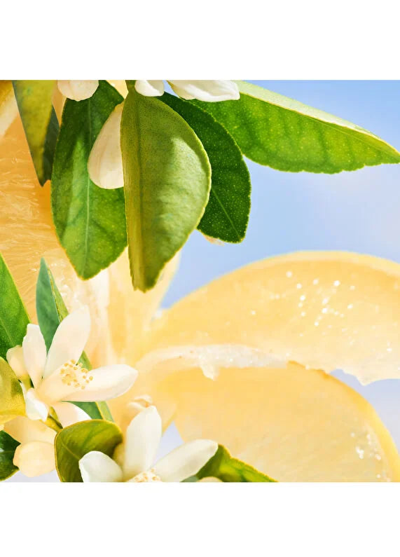 bvlgari-man-in-black-parfum-refill-200ml-04 IMAGE