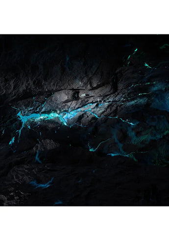 bvlgari-the-vert-edt-75-ml-unisex-parfum-05 IMAGE