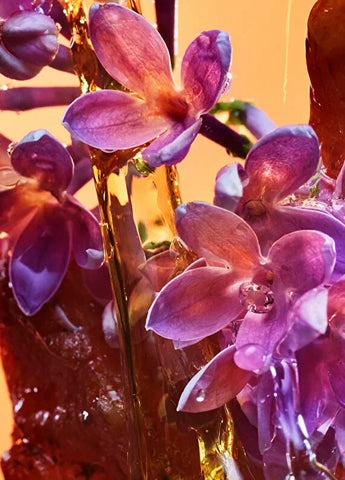 chanel-chance-eau-fraiche-eau-de-parfum-spray-150ml-03 IMAGE