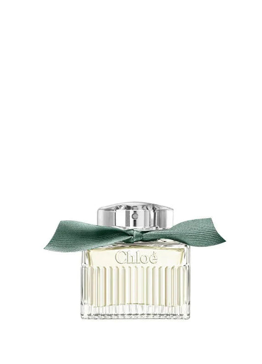 chanel-n19-eau-de-parfum-spray-100ml-01 IMAGE