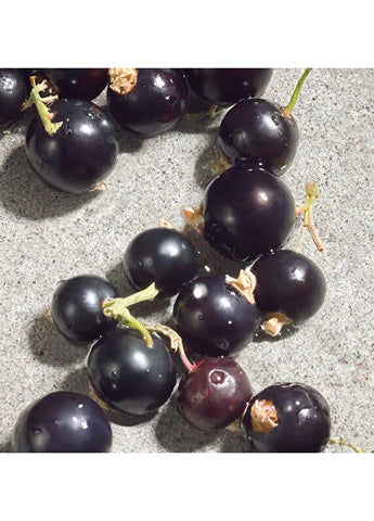 dolcegabbana-devotion-edp-100ml-04 IMAGE