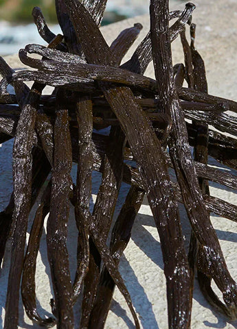 dolcegabbana-devotion-for-men-100-ml-parfum-06 IMAGE