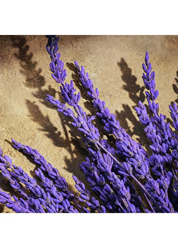 dolcegabbana-devotion-for-men-eau-de-parfum-50-ml-05 IMAGE