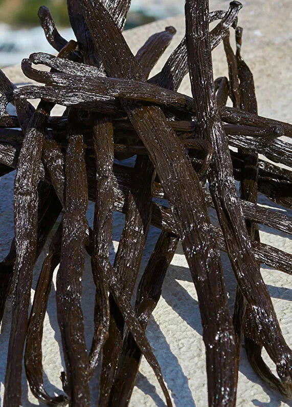 dolcegabbana-dolce-violet-edt-50ml-kadin-parfum-06 IMAGE