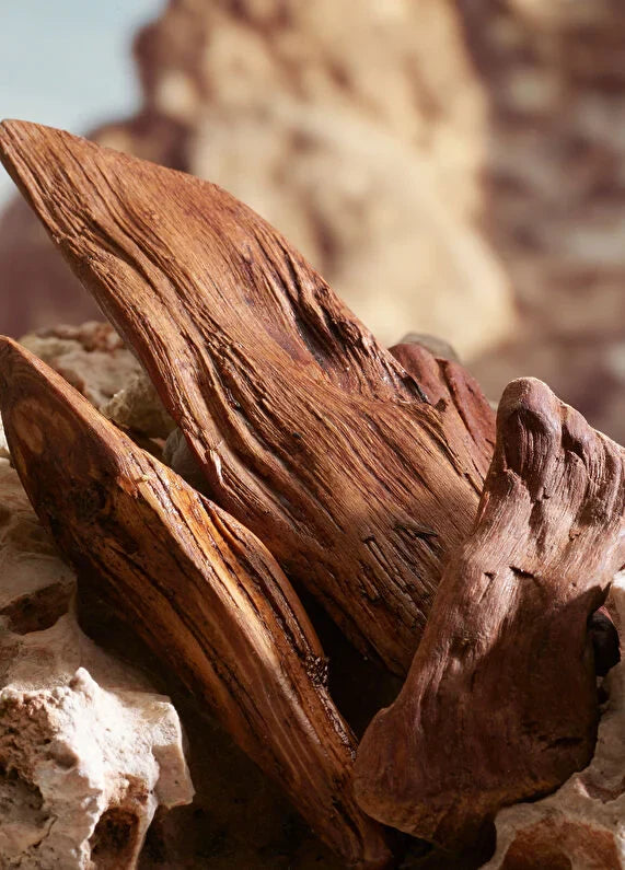 dolcegabbana-k-by-dg-erkek-edt-200-ml-04 IMAGE