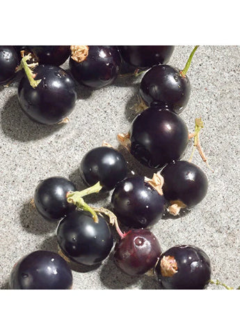 dolcegabbana-k-intense-edp-100-ml-kadin-parfum-04 IMAGE