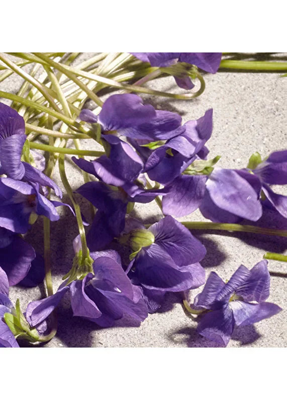 dolcegabbana-k-intense-edp-100-ml-kadin-parfum-05 IMAGE