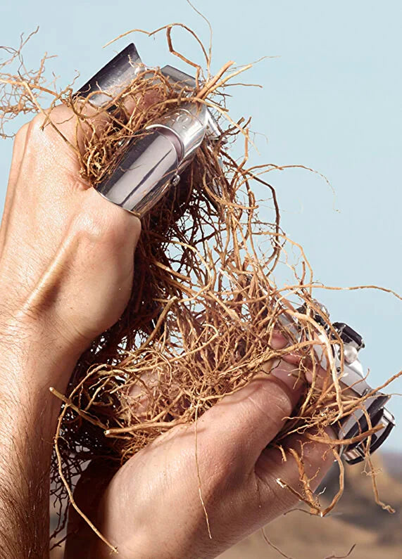 dolcegabbana-light-blue-capri-in-love-eau-de-parfum-100ml-05 IMAGE