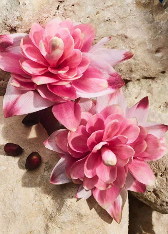 dolcegabbana-light-blue-capri-in-love-eau-de-parfum-50ml-06 IMAGE