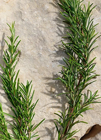 dolcegabbana-light-blue-pour-homme-eau-de-toilette-100ml-06 IMAGE