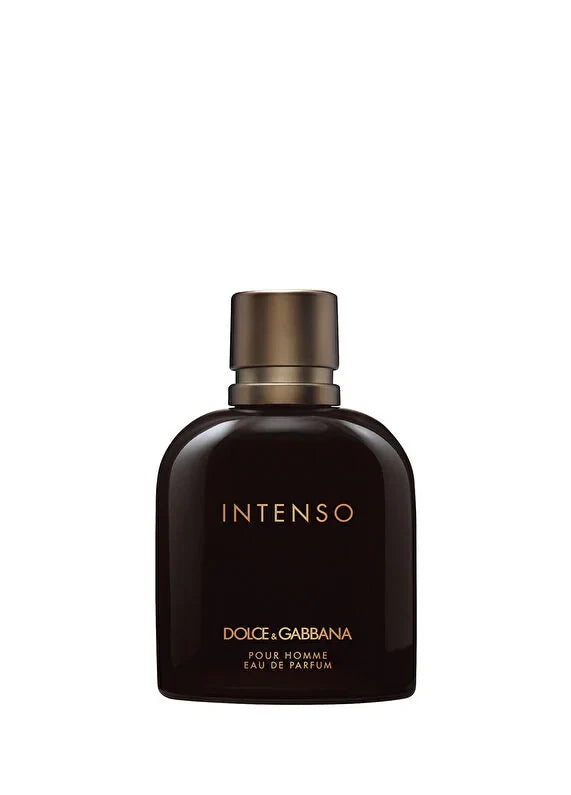 dolcegabbana-pour-homme-intenso-edp-125ml-01 IMAGE