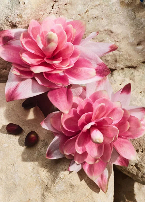 dolcegabbana-q-by-dg-edpi-intense-erkek-100ml-parfum-06 IMAGE