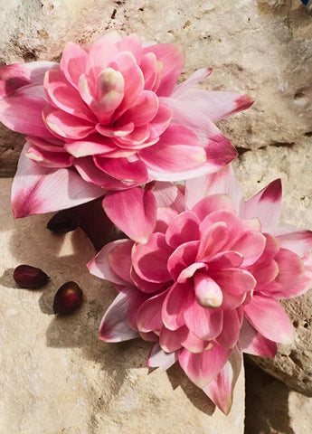 dolcegabbana-q-by-dg-edpi-intense-erkek-100ml-parfum-06 IMAGE