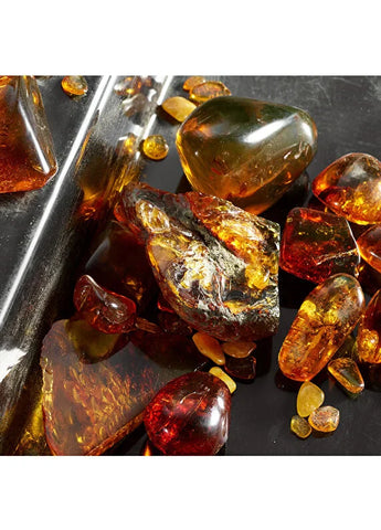 dolcegabbana-the-one-edp-75ml-04 IMAGE