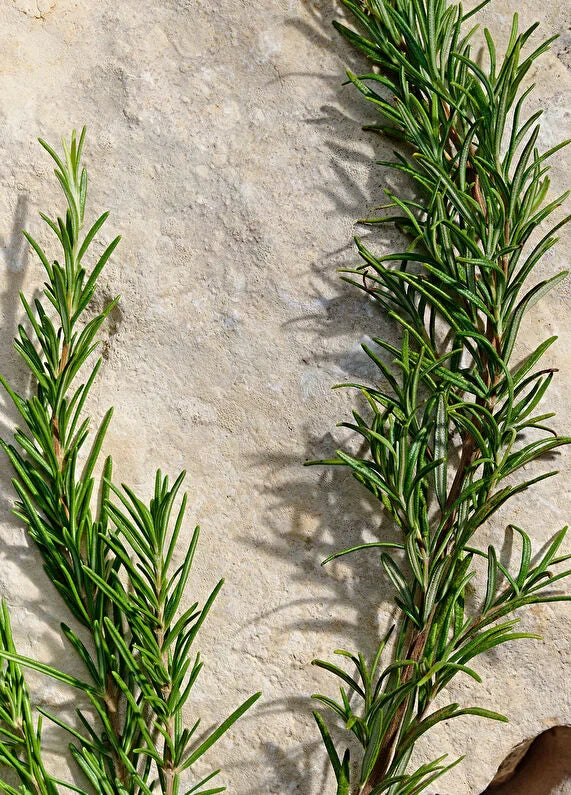 dolcegabbana-velvet-amber-skin-edp-100-ml-unisex-parfum-06 IMAGE