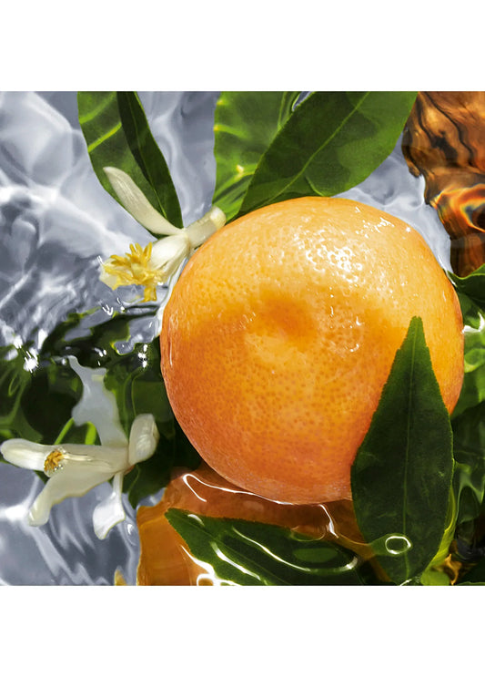 guerlain-aqua-allegoria-pamplelune-edt-75-ml-kadin-parfum-02165-02 image