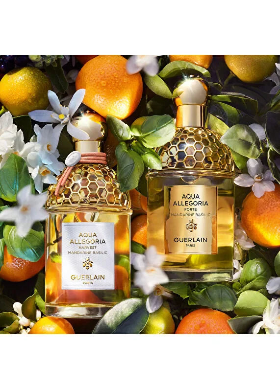 guerlain-aqua-mandarine-basilic-harvest-edt-125-ml-parfum-04 IMAGE