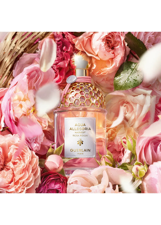 guerlain-aqua-rosa-rossa-harvest-edt-125-ml-kadin-parfum-03073-02 image