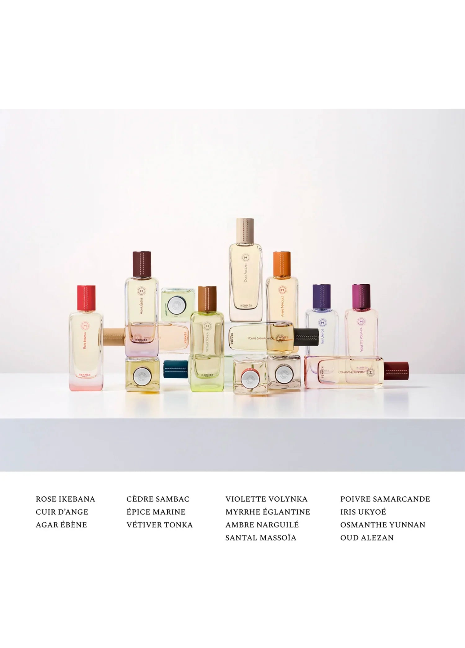 hermes-agar-ebene-eau-de-toilette-100-ml-00753-05 image