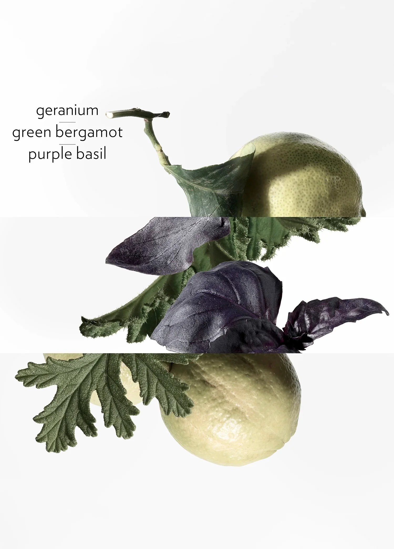 hermes-eau-de-basilic-pourpre-edc-100-ml-03280-04 image