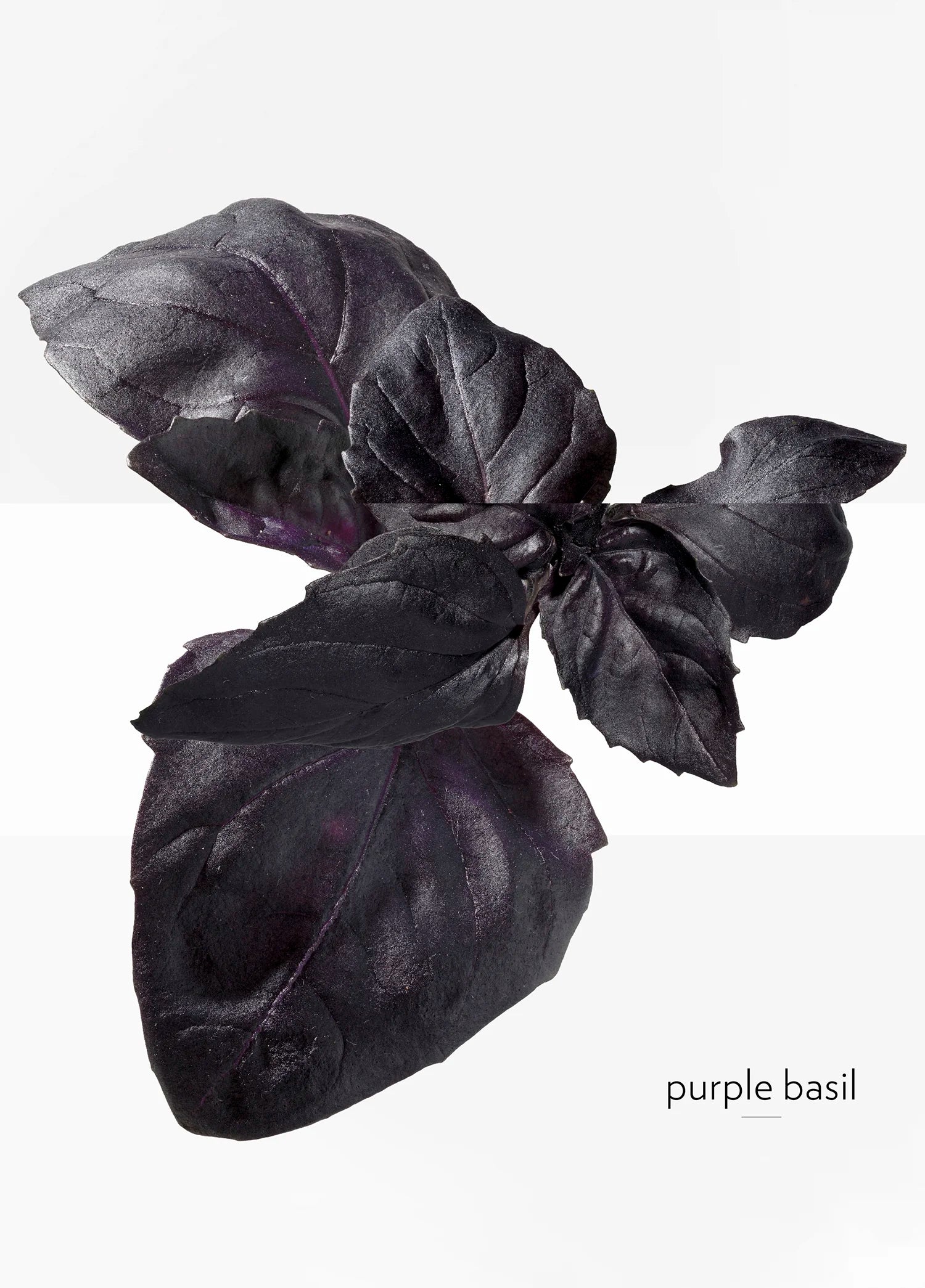 hermes-eau-de-basilic-pourpre-edc-100-ml-03280-05 image