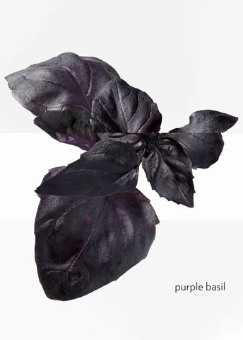 hermes-eau-de-basilic-pourpre-edc-100-ml-03280-05 image