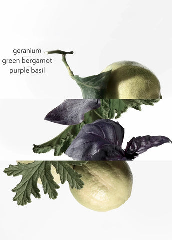 hermes-eau-de-basilic-pourpre-edc-200ml-03501-05 image