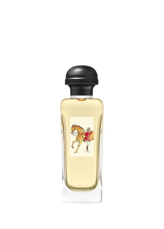 hermes-equipage-eau-de-toilette-100ml-02 IMAGE