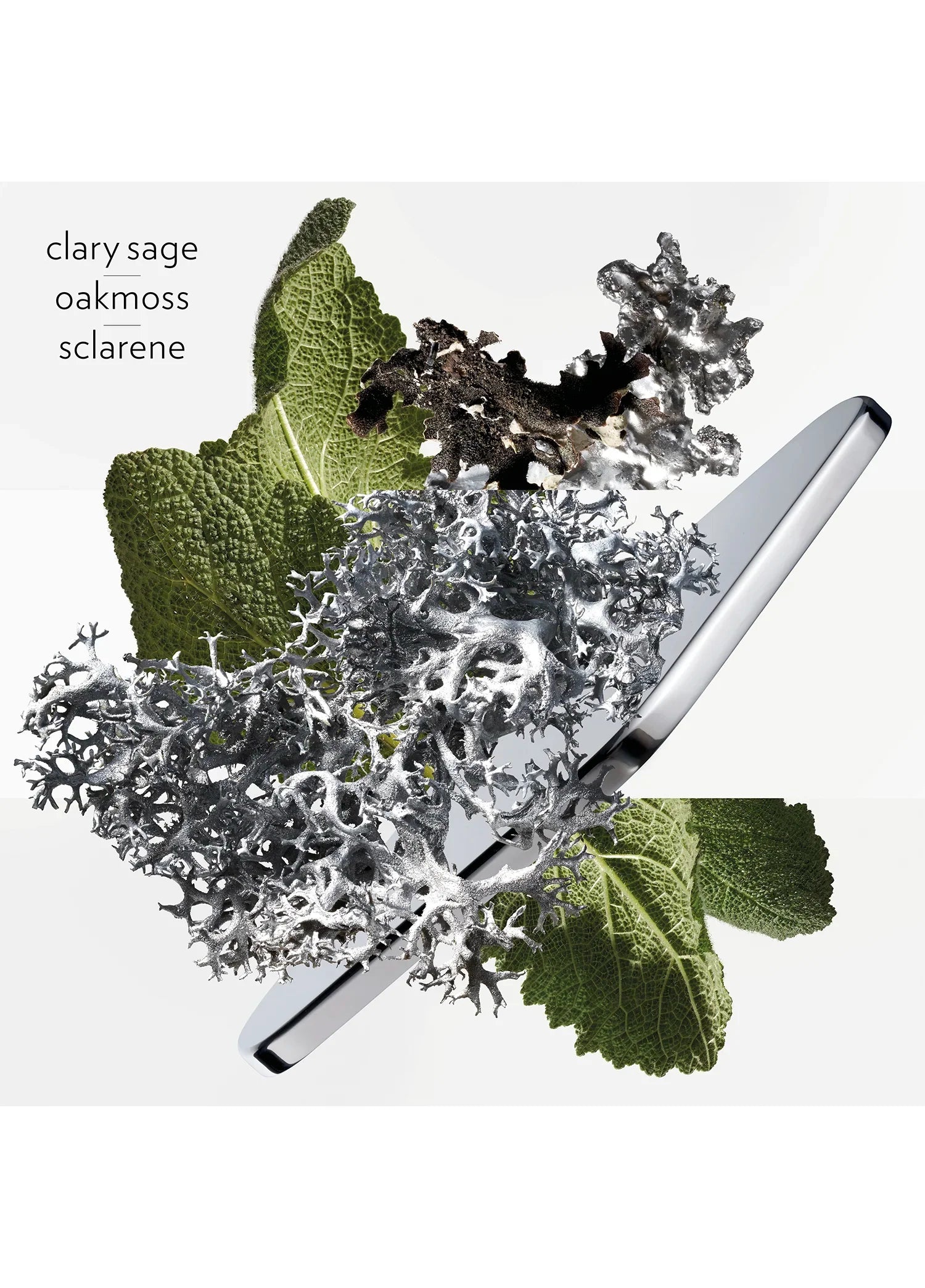 hermes-h24-eau-de-parfum-50ml-01753-04 image