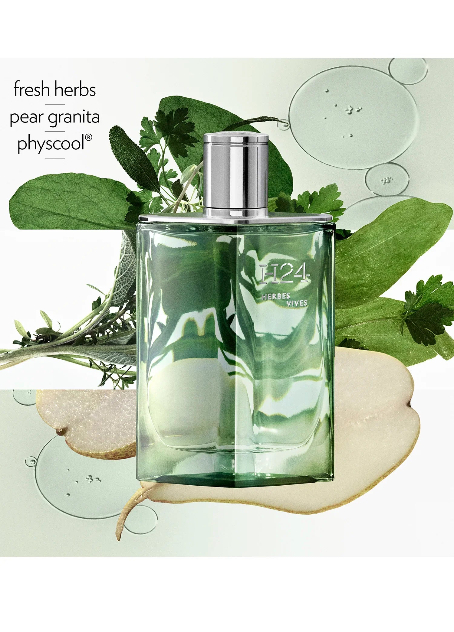 hermes-h24-herbes-vives-eau-de-parfum-100ml-01750-07 image