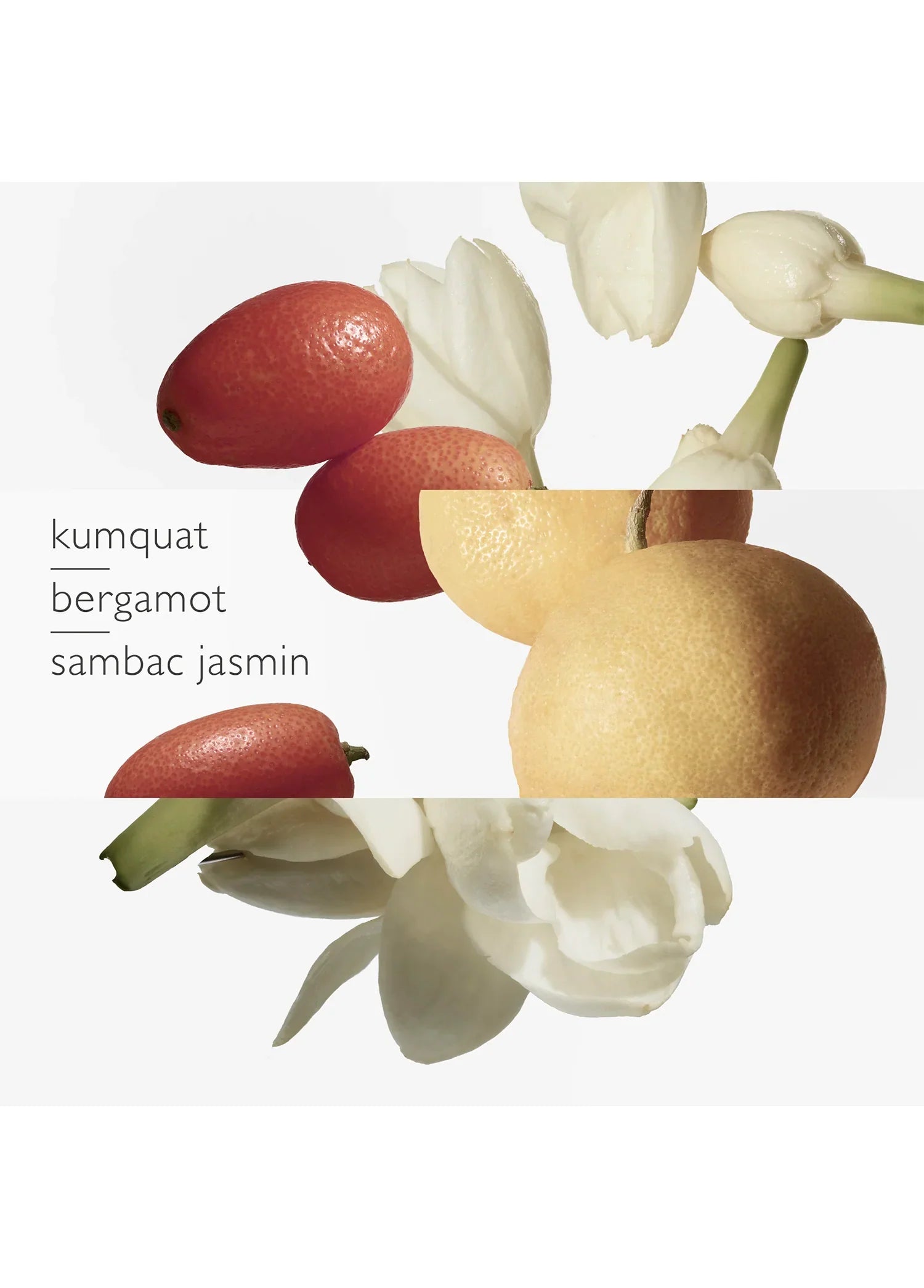 hermes-le-jardin-de-monsieur-li-eau-de-toilette-100ml-01480-03 image