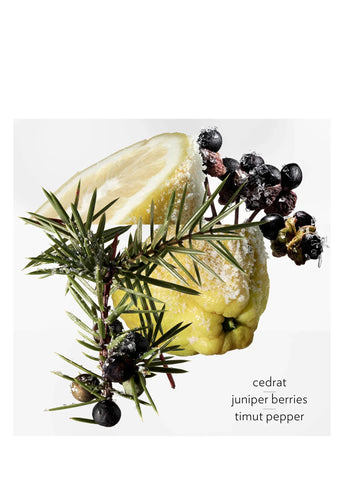 hermes-terre-d-hermes-eau-givree-100-ml-erkek-parfum-00676-04 image