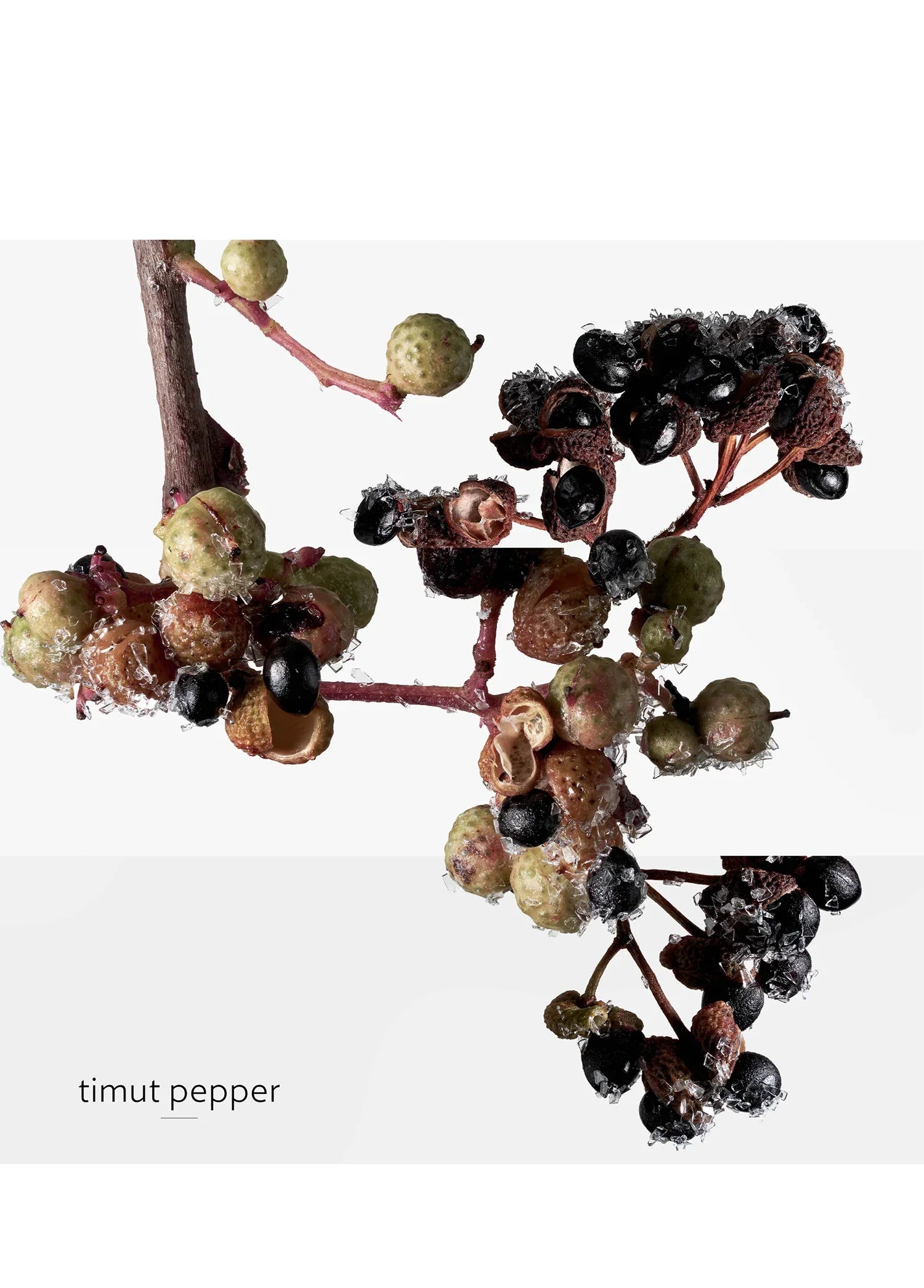 hermes-terre-d-hermes-eau-givree-100-ml-erkek-parfum-00676-07 image