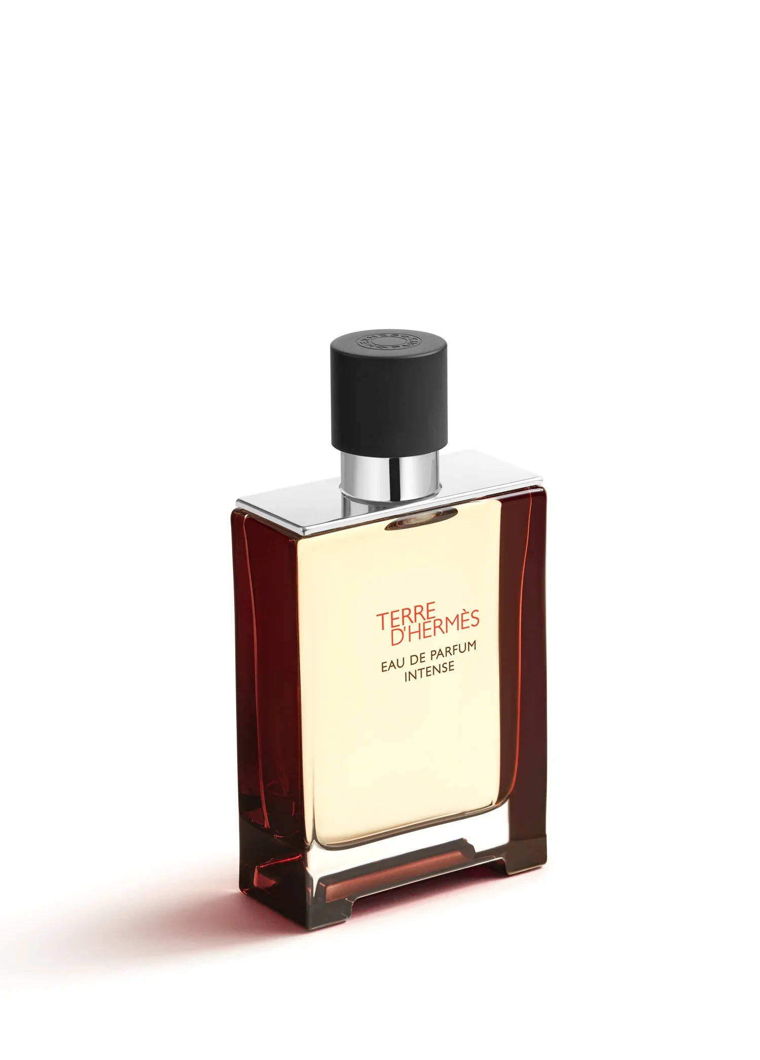 hermes-terre-dhermes-eau-de-parfum-intense-100-ml-00570-04 image