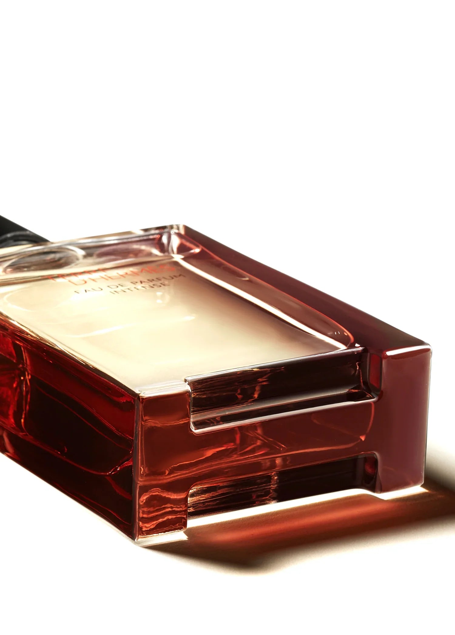 hermes-terre-dhermes-eau-de-parfum-intense-100-ml-00570-05 image