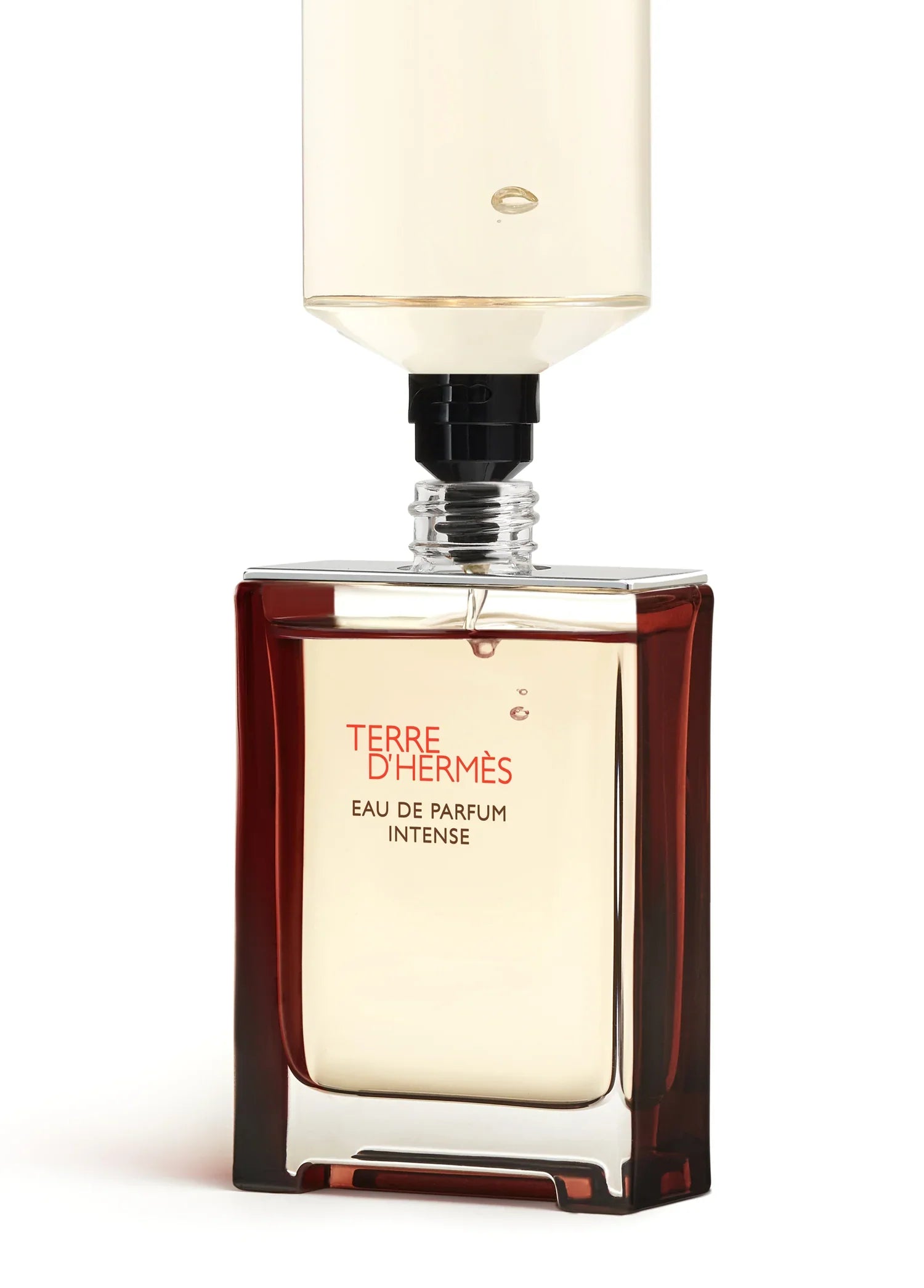 hermes-terre-dhermes-eau-de-parfum-intense-100-ml-00570-06 image