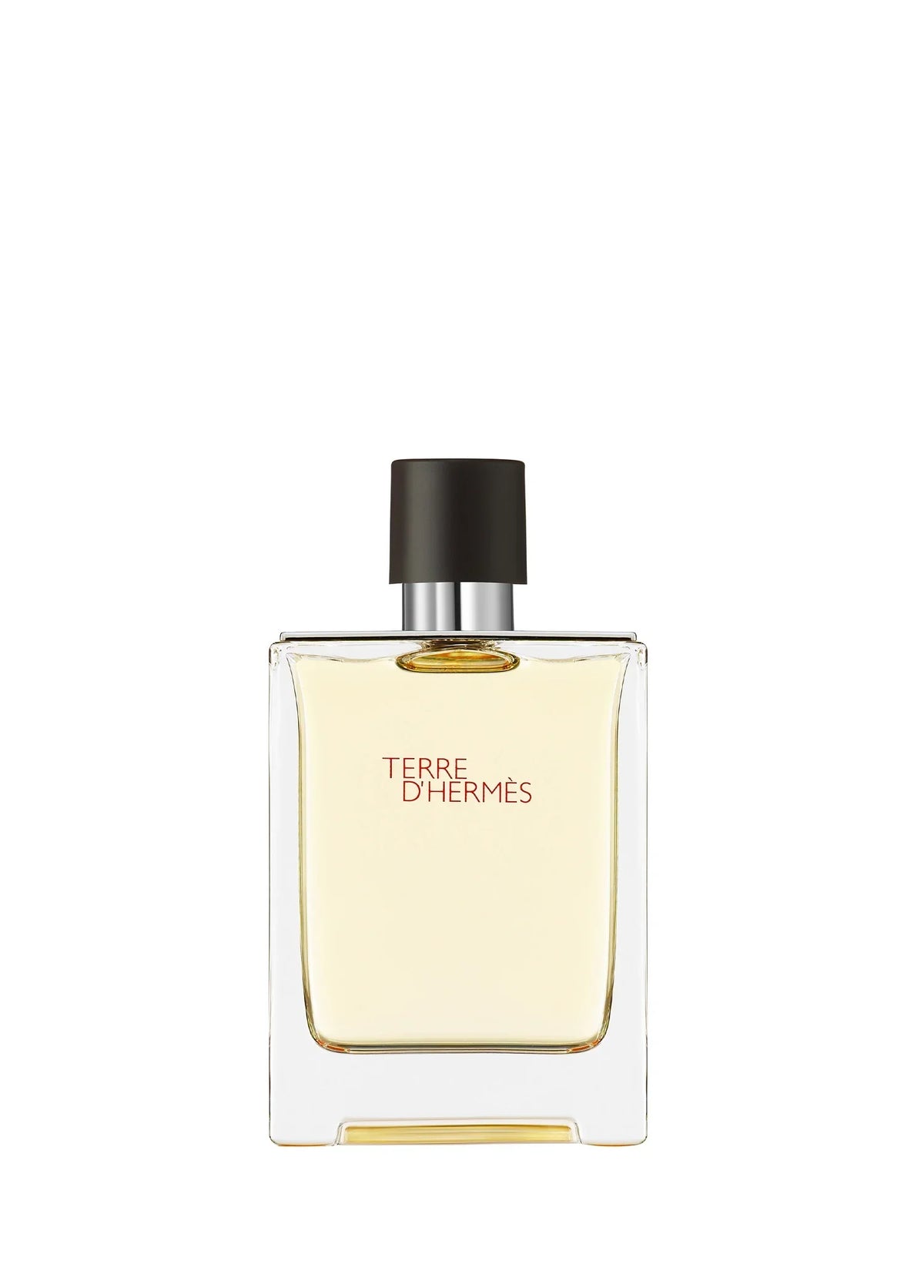 hermes-terre-dhermes-eau-de-toilette-100ml-00283-01 image